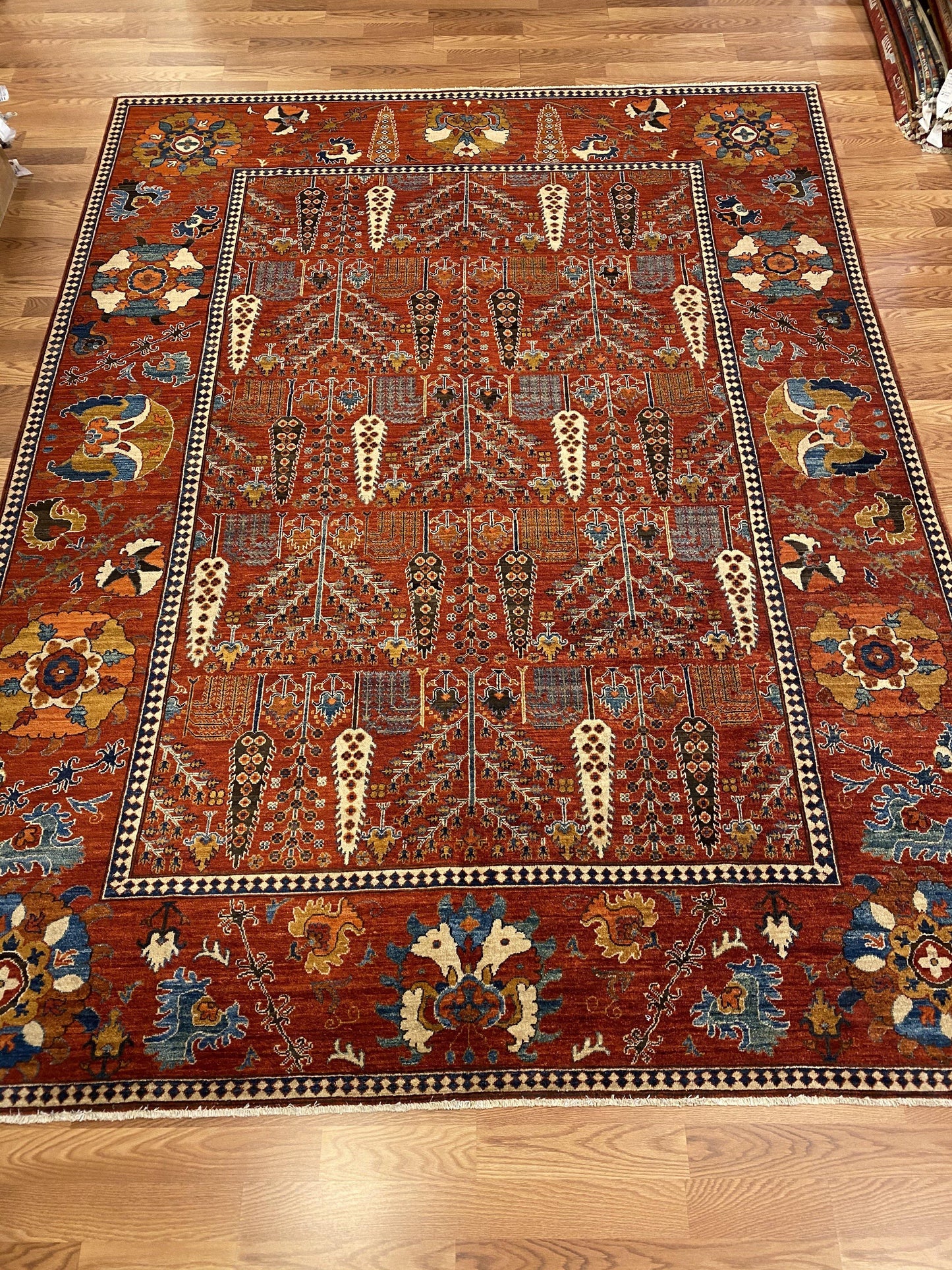 Tribal - Item BG602 - Baluchi Rug Gallery