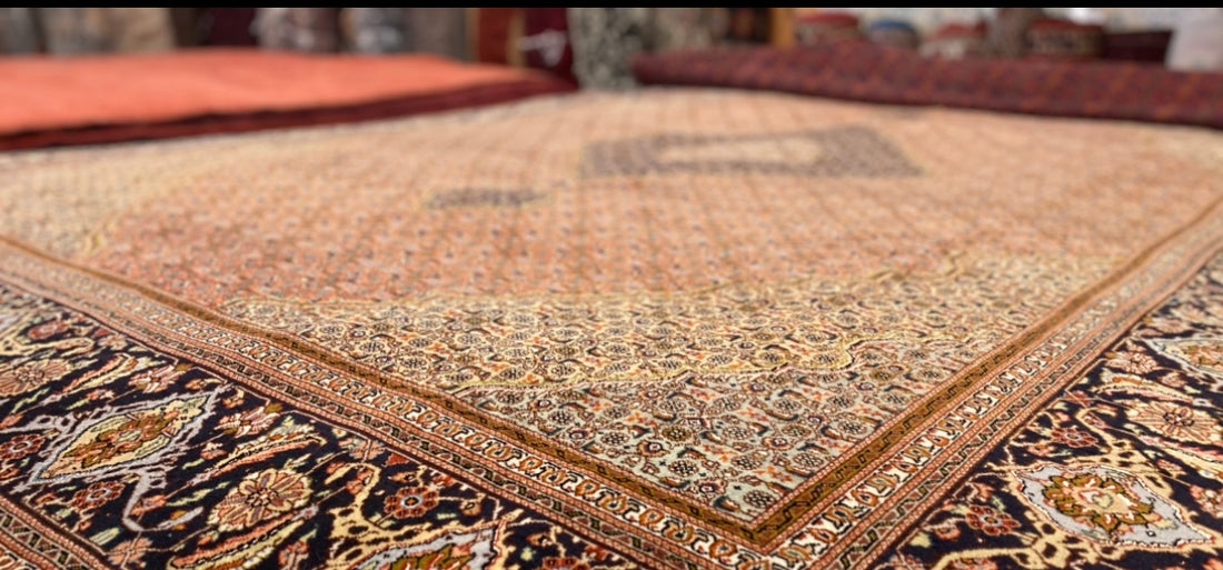 Unique and Rare Rugs: Discovering Exquisite Collectible Pieces